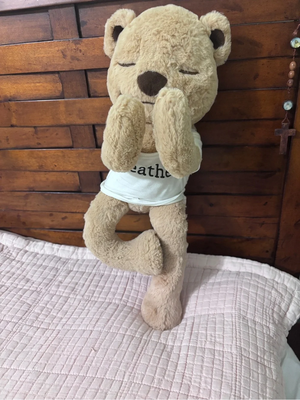 Meddy Teddy meddy teddy